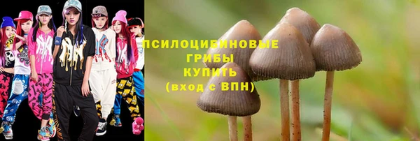 apvp Аркадак