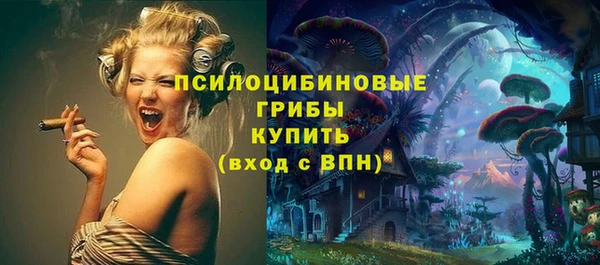 apvp Аркадак