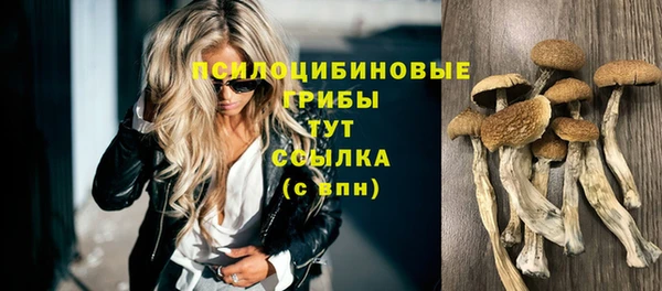 твердый Армянск