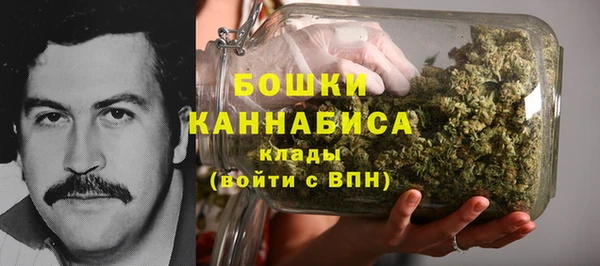apvp Аркадак