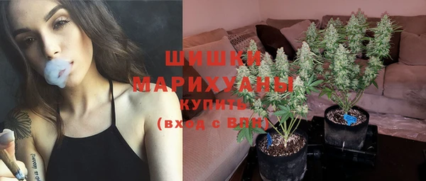 apvp Аркадак