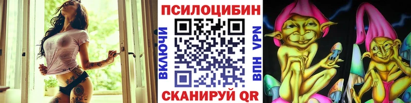 Галлюциногенные грибы Psilocybe  как найти наркотики  Урень 
